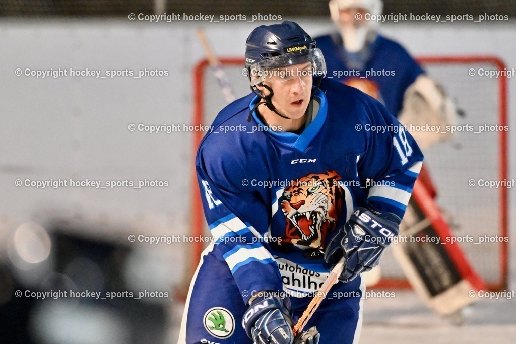 EC Ice Tigers Paternion vs. DSG Ledenitzen Faakersee 14.1.2024 | #18 Kampitsch Andreas