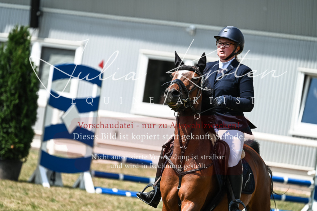 DSC_9293 | Pferde- und Turnierfotografie in Westsachsen. Pferdeportraits, Auftragszeichnungen und intuitive Kunst.