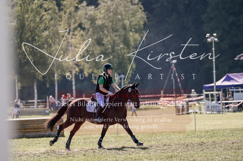 DSC_3597 | Pferde- und Turnierfotografie in Westsachsen. Pferdeportraits, Auftragszeichnungen und intuitive Kunst.