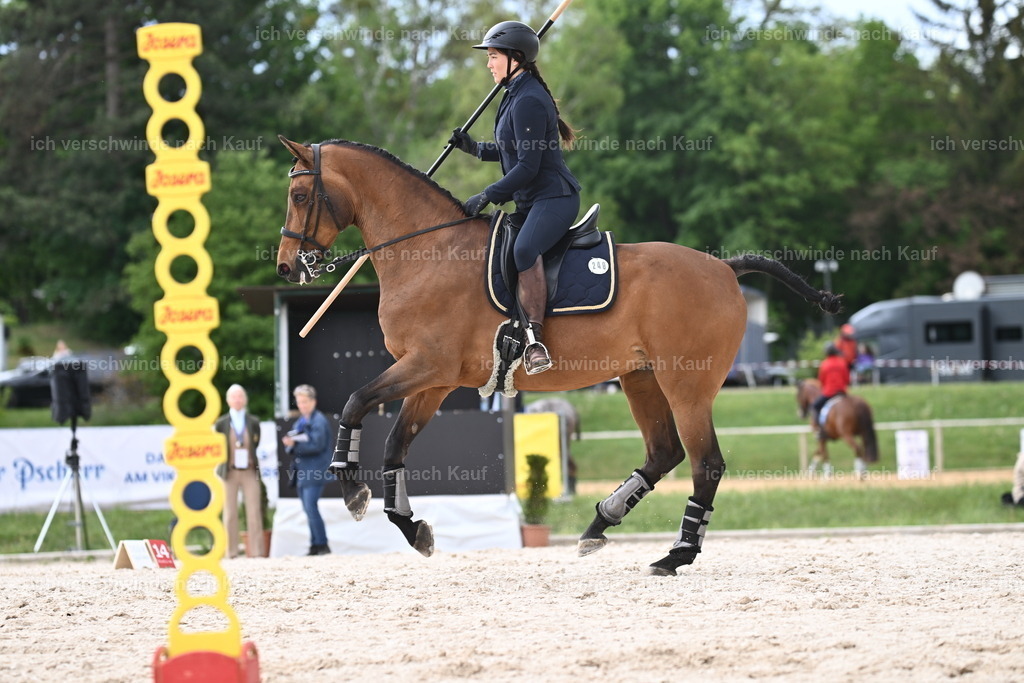 PI26_ST_Sara_Landvogt226_3202.JPG | working equitationturnier fotograf videograf stoibphotography marixx film working equitation deutschland reitsport turnierfotografie eventfotografie equestrian events