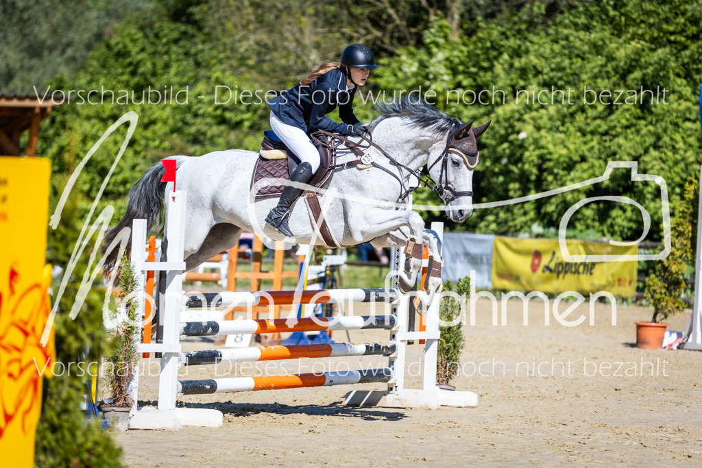 Donop24-A2Spr-101 | MomenTaufnahmen Pferdesportfotos