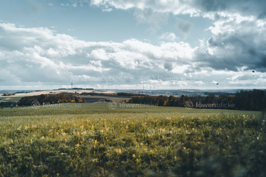 Felder auf dem Messelberg bei Donzdorf im Herbst | löwenblicke | shop