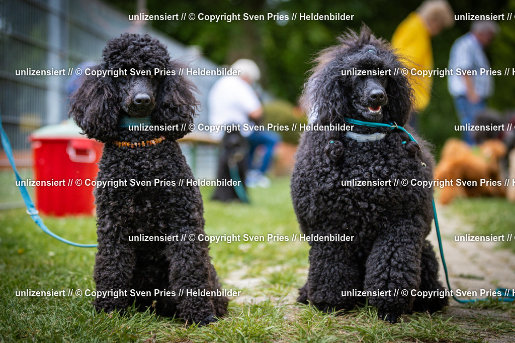 Sven Pries | 2025-05-29 - Pudelrennen KA-Durlach - Realisiert mit Pictrs.com