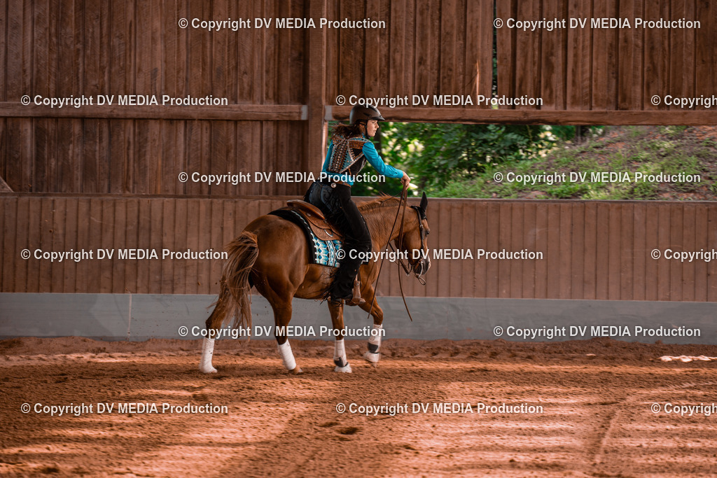 NE201118 | dv-media-shop - Realisiert mit Pictrs.com