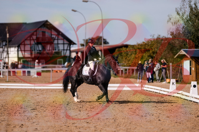 2026_10_03_Siefer-Hof_120644_Z81_07602901 | Professionelle Reitsport-, Turnier- und Eventfotografie von Robert Broda. Galerien mit ausgewählten und bearbeiteten Bildern direkt online ansehen und bestellen.