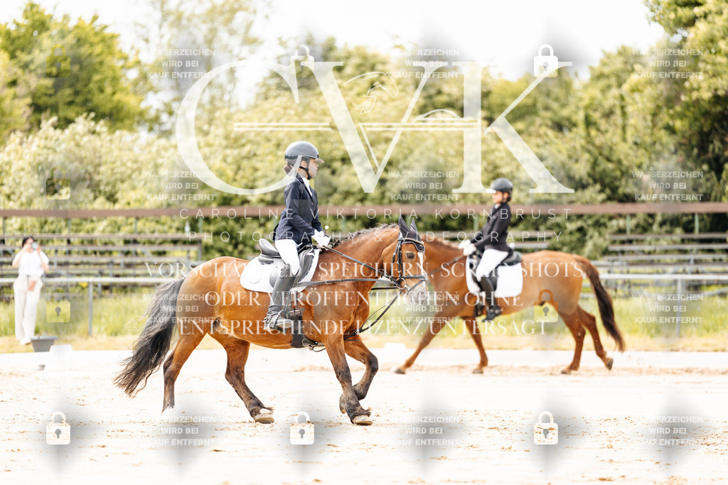CK902687 | Turnierfotografie Pferdefotografie Trier Rheinland-Pfalz Pferdesport Reitsport Tierfotografie Sportfotografie Pferdevideo Pferdevideografie Equestrianvideography equestrianphotography  - Realisiert mit Pictrs.com