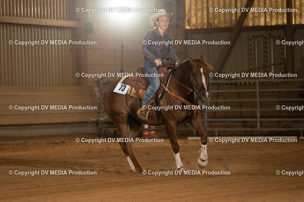 NID02284 | dv-media-shop - Realisiert mit Pictrs.com