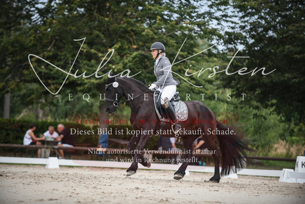 DSC_8315 | Pferde- und Turnierfotografie in Westsachsen. Pferdeportraits, Auftragszeichnungen und intuitive Kunst.