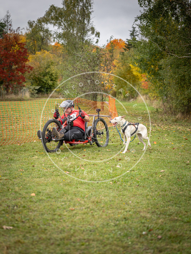 Pfotenfotografie_DV3A3509 | Hundefotografie, Tierfotograf, Pfotenfotografie, Fotoshooting Hund, Hunde Portrait, Hundesport, Hundeportraits, Heideshooting, Hunde, Sportfotograf, Hundefotograf, Turnierhundsport, THS,  - Realisiert mit Pictrs.com