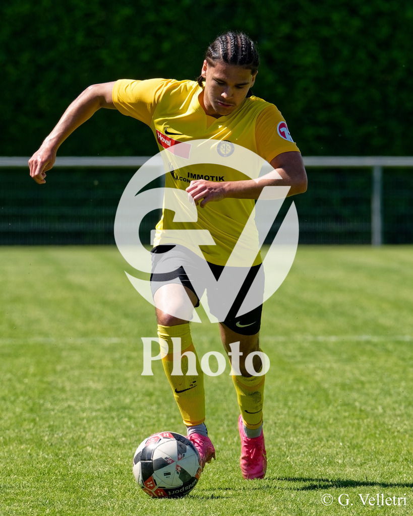 DSC_7767 | Velletri Photo