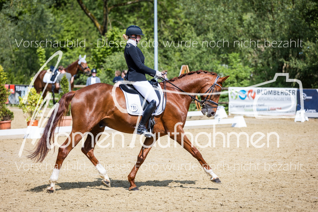 Donop24-L-Dre-049 | MomenTaufnahmen Pferdesportfotos