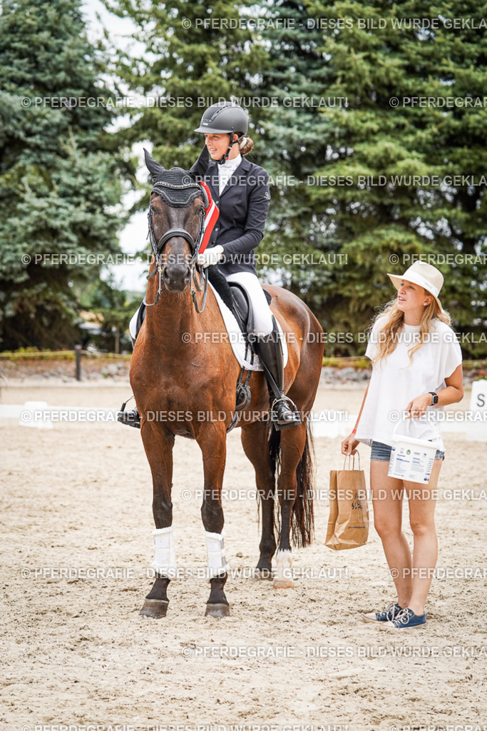 DSC04775 | Pferdegrafie