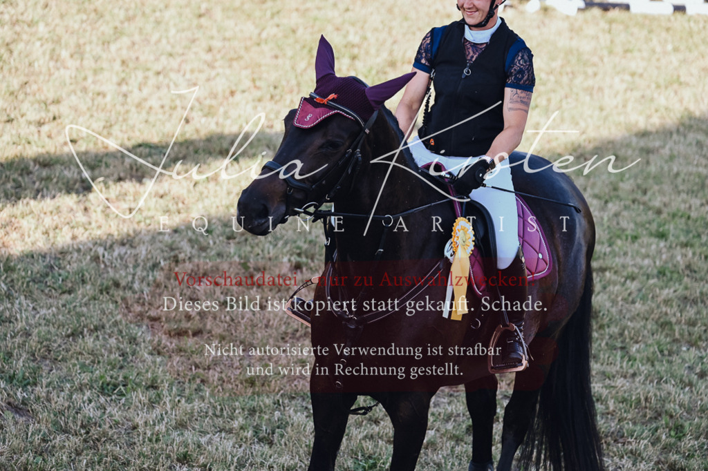 DSC_3291 | Pferde- und Turnierfotografie in Westsachsen. Pferdeportraits, Auftragszeichnungen und intuitive Kunst.