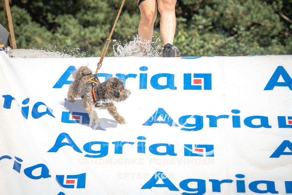 1340_ZZ90678 | kk-dogfotos