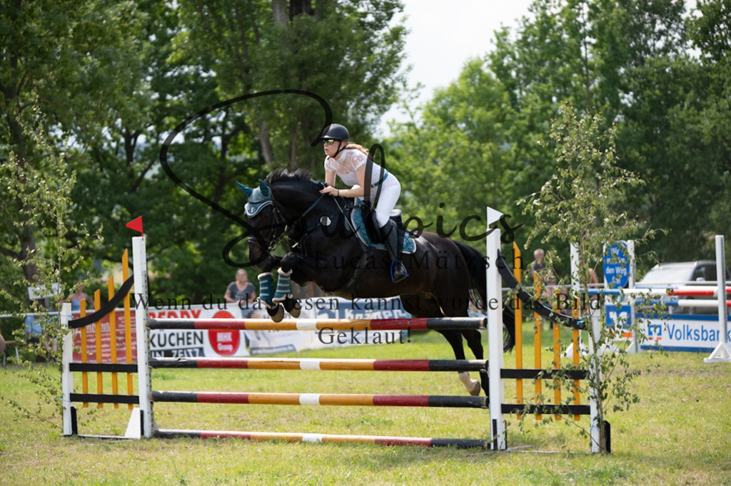 A7V07455 | Pferdefotograf