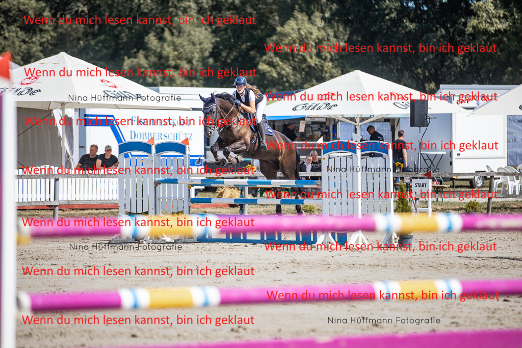 BK1A6854 | Turnierbilder Turnierfotos Nina Hüffmann Turnierfotografie Pferdefotografie Tierzeichnung Haustierzeichnung Pferdezeichnung Hundezeichnung Videograf  - Realisiert mit Pictrs.com