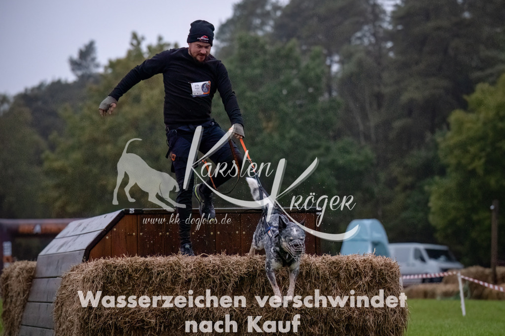 0814-_ZZ90786-Bearbeitet-Bearbeitet | kk-dogfotos