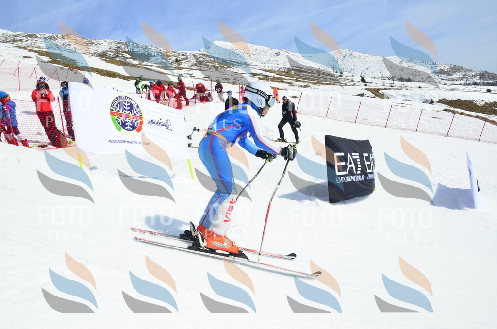 _ELE1360 | holidayphoto