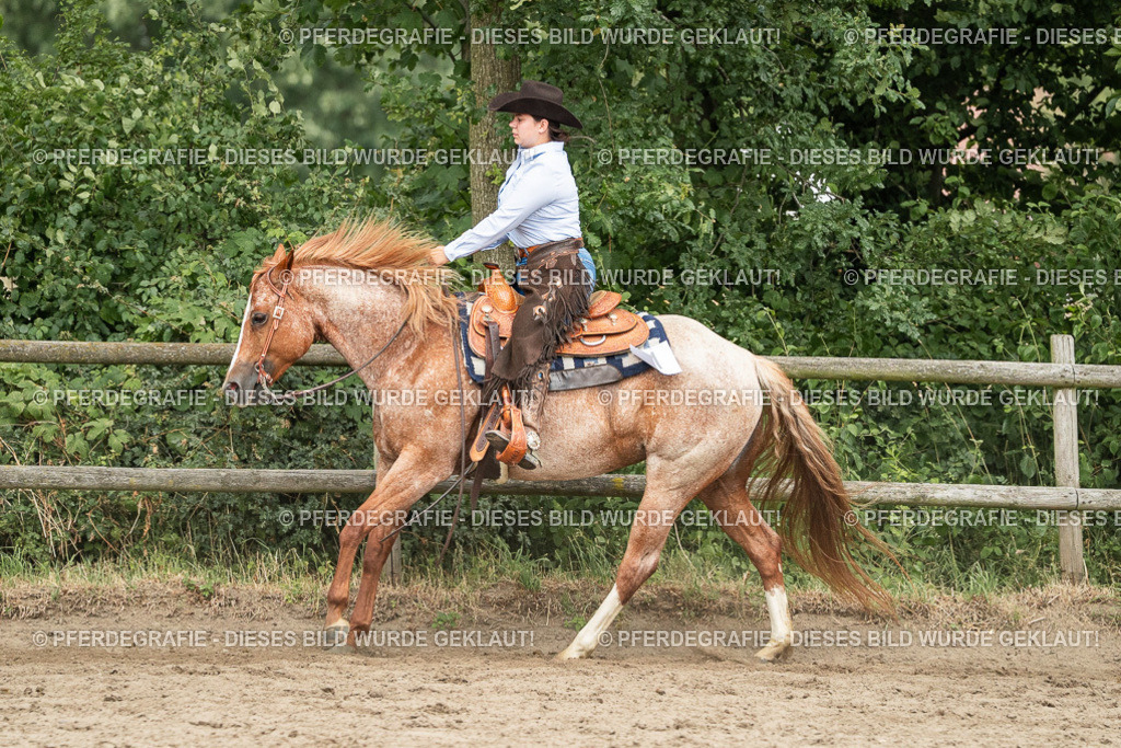 DSC04251 | Pferdegrafie