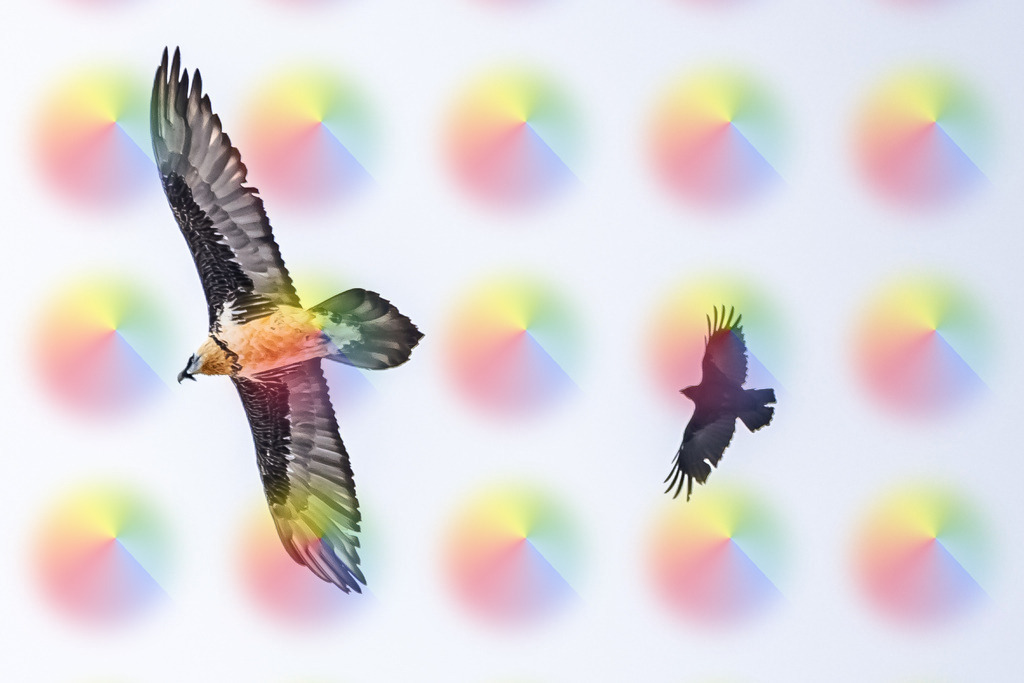 1M5A2570 | FineArtPrint, Hahnemühle, FeeGalerie, Fee Galerie, Fotokunst, Fotografie, Canonphotography, Bergfoto, Matterhorn, Rimpfischhorn, Allalinhorn, Saas-Fee, Wallis, Valais, Switzerland, Bergfotografie