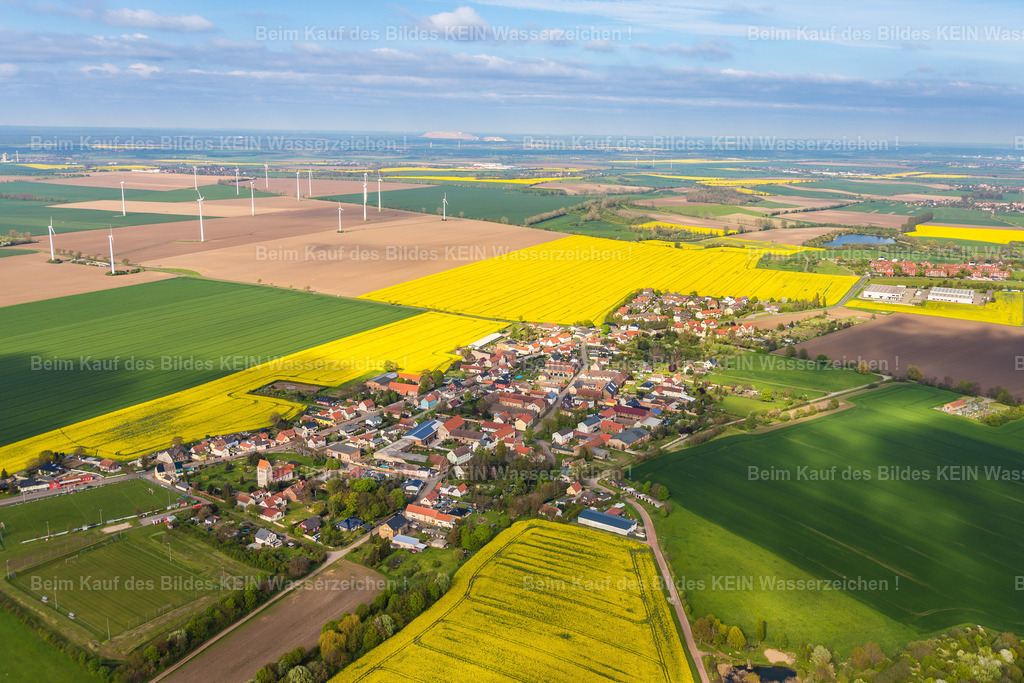 23_Groß_Santersleben-3408 | Groß Santersleben - Realisiert mit Pictrs.com