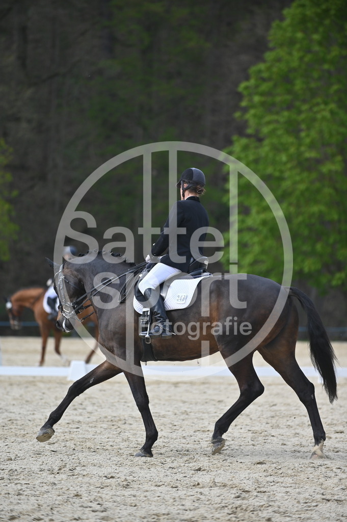 DSC_4759 | sattelsport - Realisiert mit Pictrs.com