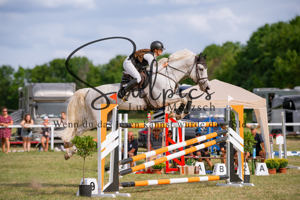 A7V02715 | Pferdefotograf