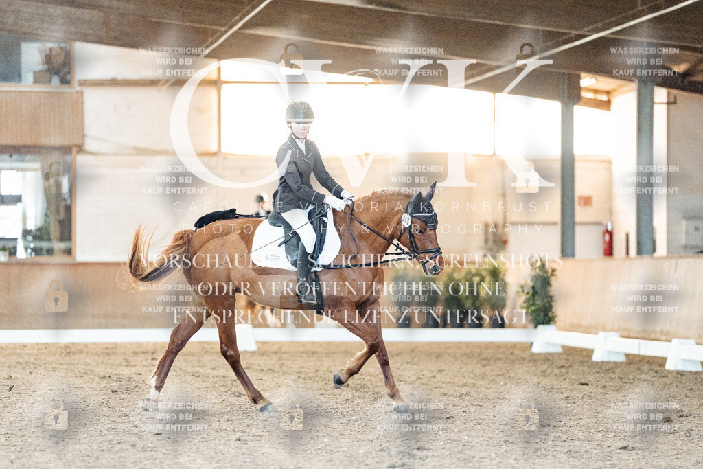 CK906593 | Turnierfotografie Pferdefotografie Trier Rheinland-Pfalz Pferdesport Reitsport Tierfotografie Sportfotografie Pferdevideo Pferdevideografie Equestrianvideography equestrianphotography  - Realisiert mit Pictrs.com
