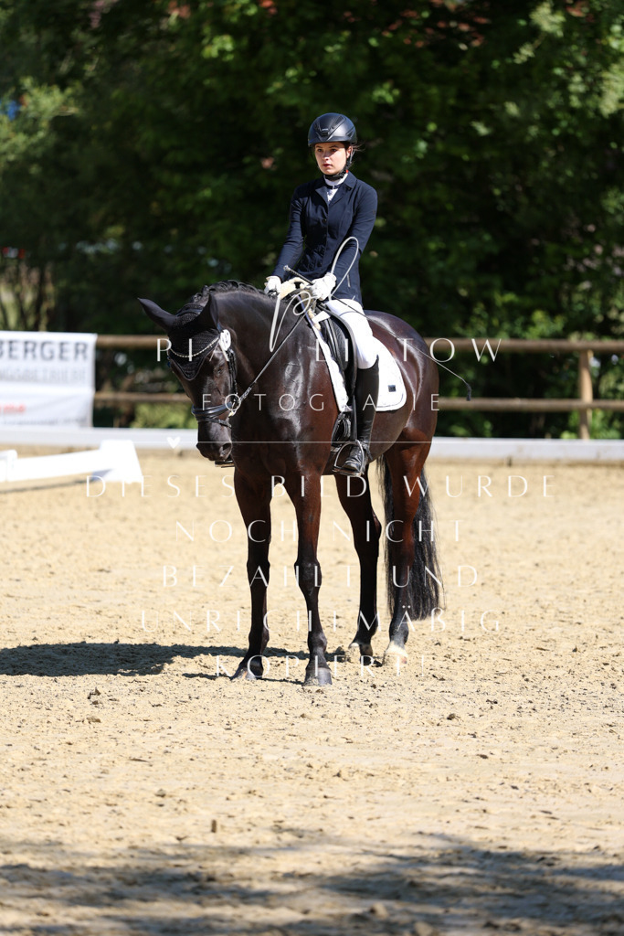 IMGT0382 | pl-fotografie