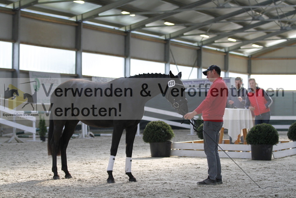 _MG_9815 | equestrian-live-com