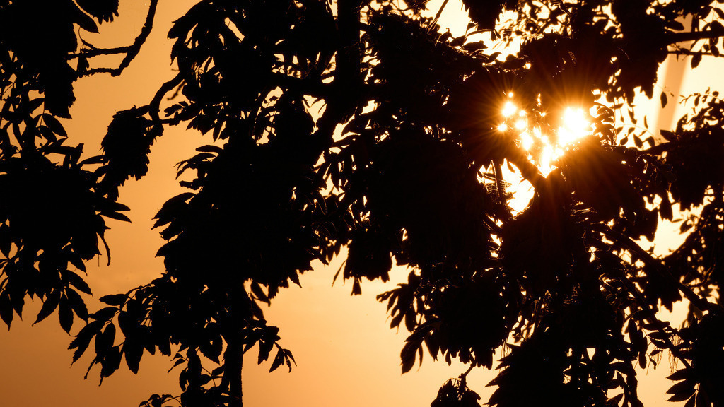 Sonnenuntergang mit Herz | kleinen-fotografie