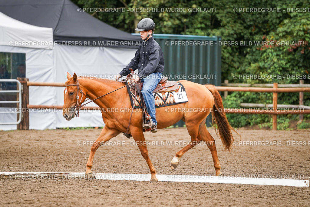 DSC03497 | Pferdegrafie