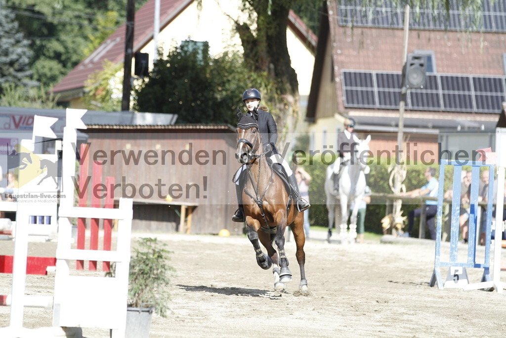 _MG_3668 | equestrian-live-com