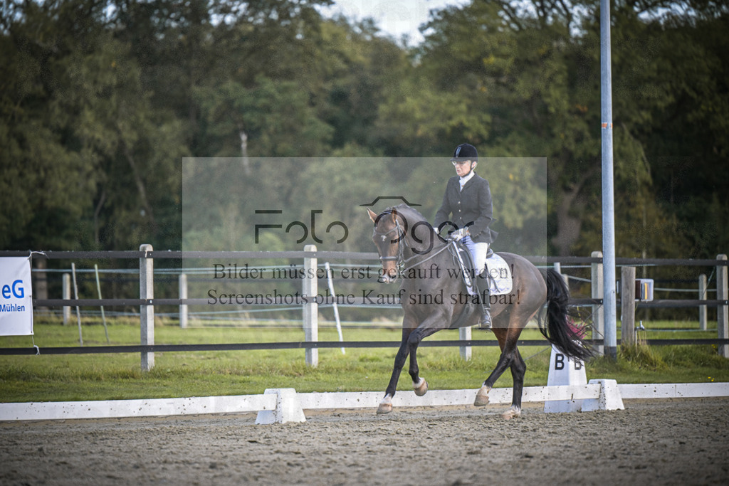 DOS_4051 | Entdecke hochwertige Reitturnierfotos von Foto Oger. Professionell, emotional und authentisch – jetzt Lieblingsmomente im Shop bestellen.Deutschlandweite Turnierfotografie. - Realisiert mit Pictrs.com