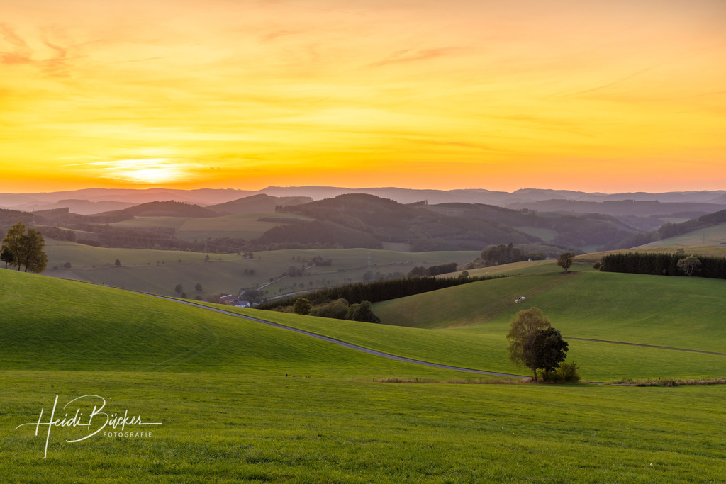Abendstimmung im Sauerland | Abendstimmung bei Oberhenneborn im Schmallenberger Sauerland - Realisiert mit Pictrs.com