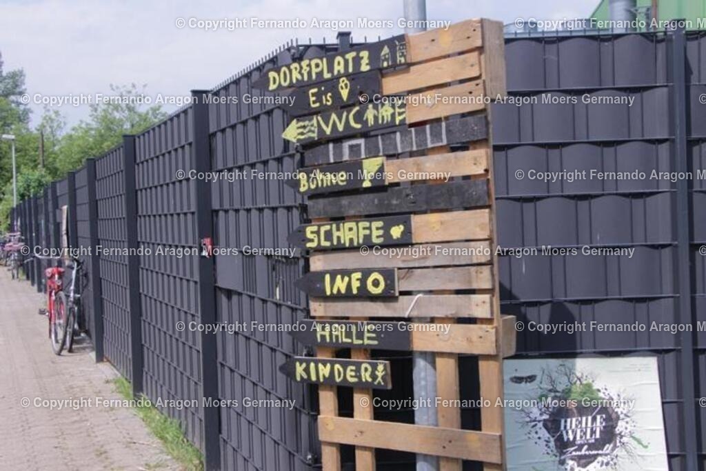 IMG_2474 | aragon-pics - Realisiert mit Pictrs.com