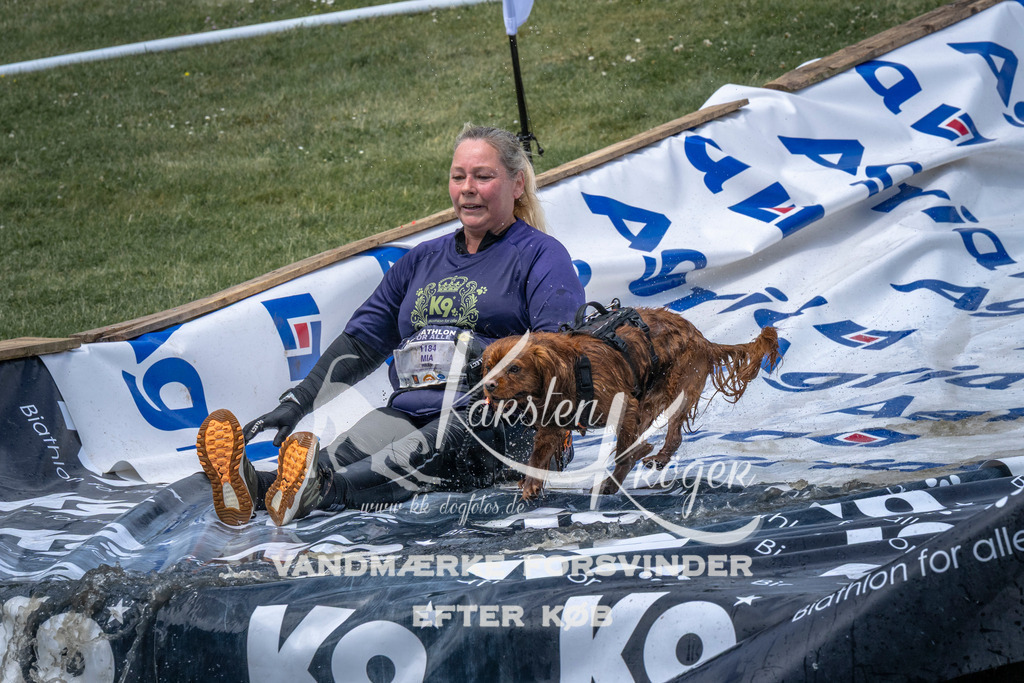 1127_ZZ92200 | kk-dogfotos