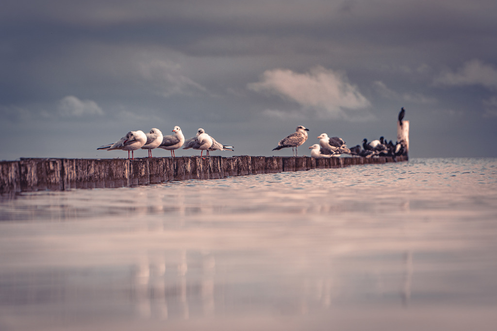 DSC01720 | frl-wunderlich - Realisiert mit Pictrs.com