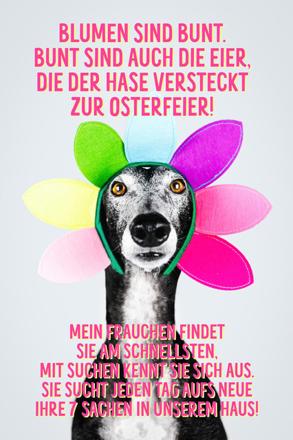 Versteckte Eier | "Blumen sind bunt. Bunt sind auch die Eier, die der Hase versteckt zur Osterfeier. Mein Frauchen findet sie am schnellsten, mit Suchen kennt sie sich aus. Sie sucht jeden Tag aufs Neue ihre 7 Sachen in unserem Haus!"