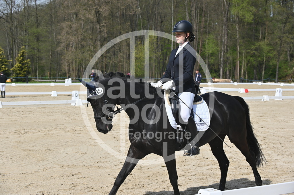 DSC_1063 | sattelsport - Realisiert mit Pictrs.com