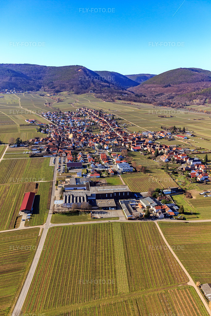 Luftbild: Ortsansicht von Osten in Rhodt unter Rietburg im Bundesland Rheinland-Pfalz in Deutschland. Foto: IMG_125308.jpg vom 21.02.2021 durch Werner Riehm/FLY-FOTO.de