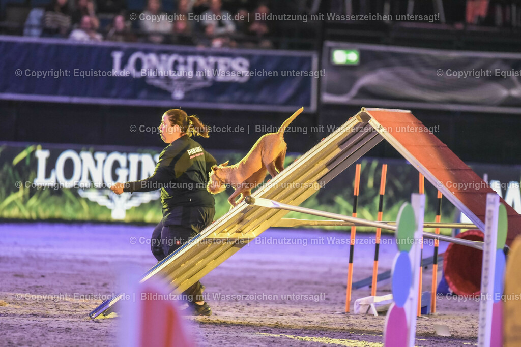 20231115_Dog-Agility_0110_TOMsPiC | Foto: Thomas Hartig