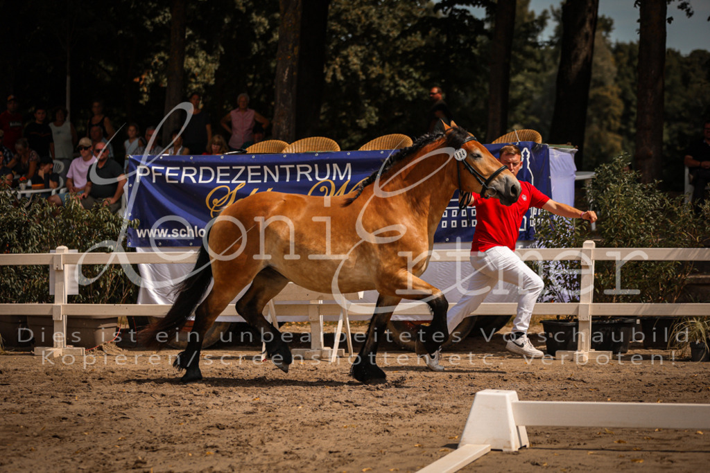 2.Sa00033 | Leoni Ertmer Photography - Realisiert mit Pictrs.com