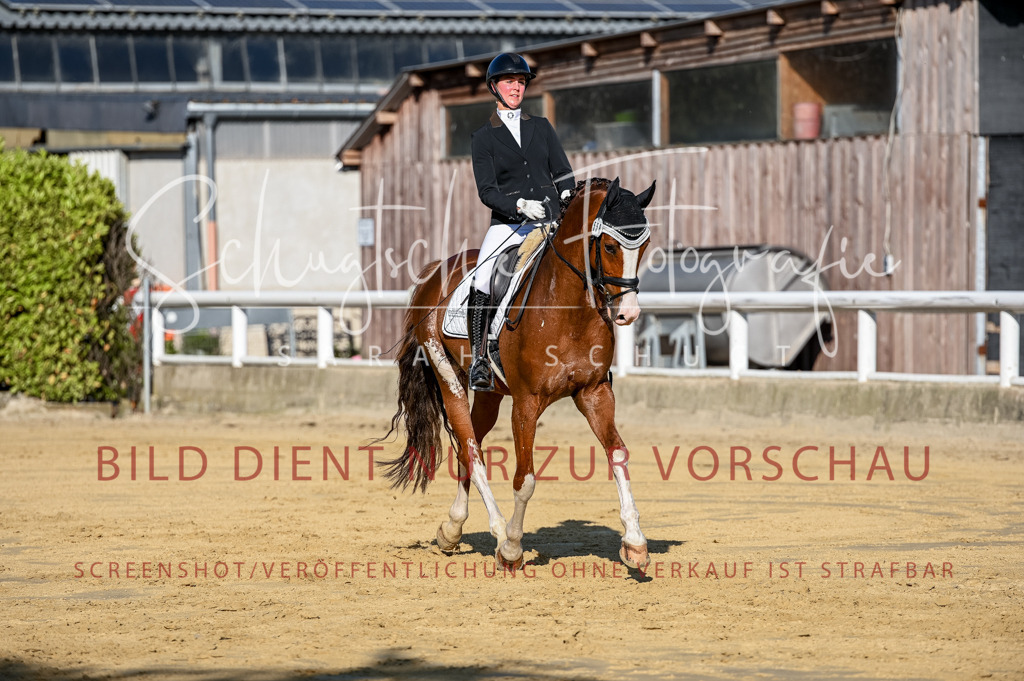 Schugtsche-Aluta25-51.Dressurpferdeprf.M-70 | Schugtsche Fotografie - Realisiert mit Pictrs.com