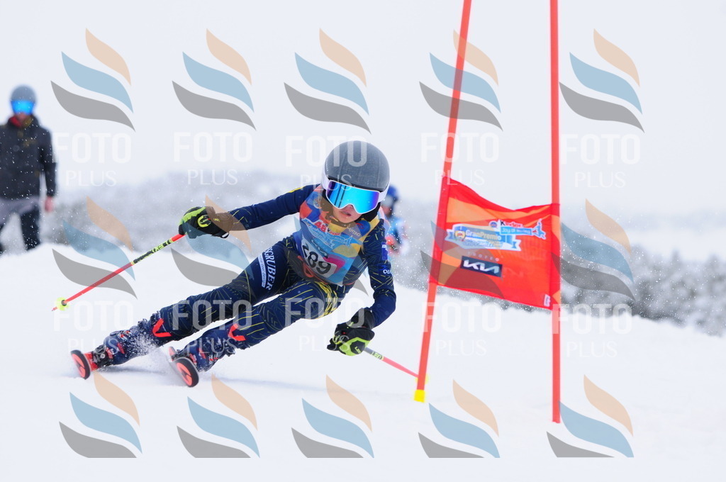 C3043 | holidayphoto