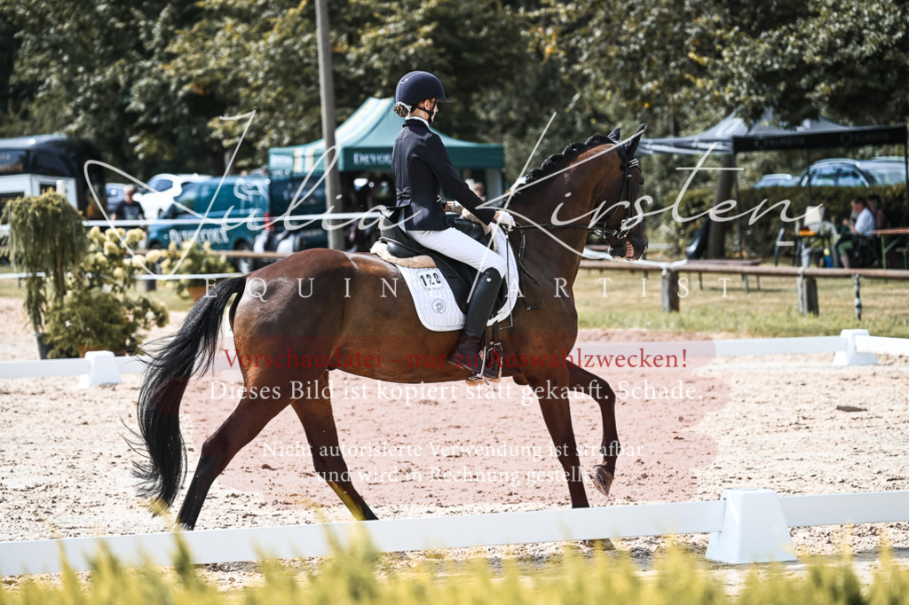 DSC_5226 | Pferde- und Turnierfotografie in Westsachsen. Pferdeportraits, Auftragszeichnungen und intuitive Kunst.