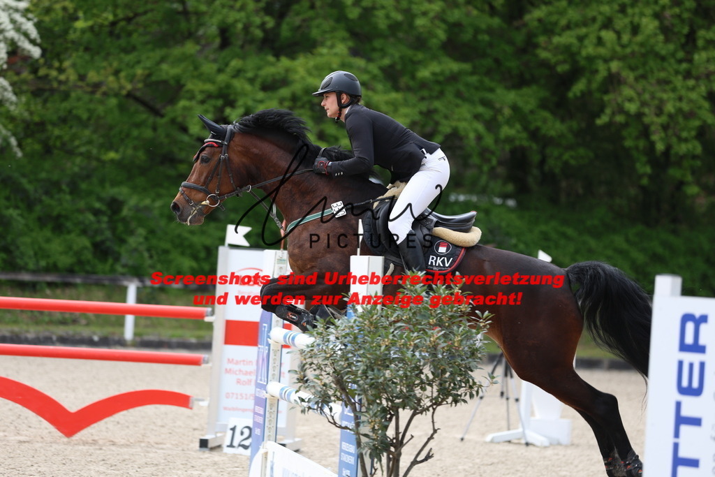 A40A4930 | lmwpictures - Realisiert mit Pictrs.com