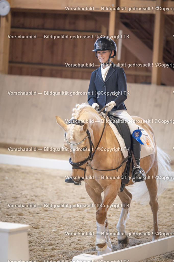 _D5A2550 | Emotionale Pferde- & People-Fotografie rund um Heidelberg, Leimen & Umgebung. Natürliche Fotos von Pferd, Mensch & Familie. Jetzt Termin sichern!