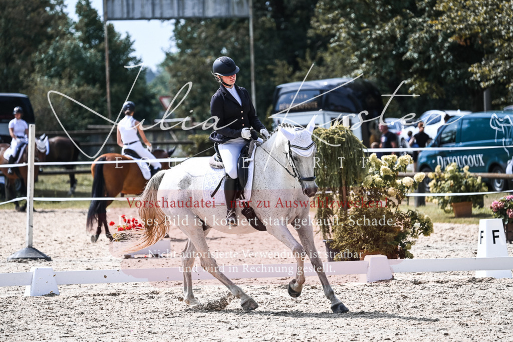DSC_5304 | Pferde- und Turnierfotografie in Westsachsen. Pferdeportraits, Auftragszeichnungen und intuitive Kunst.