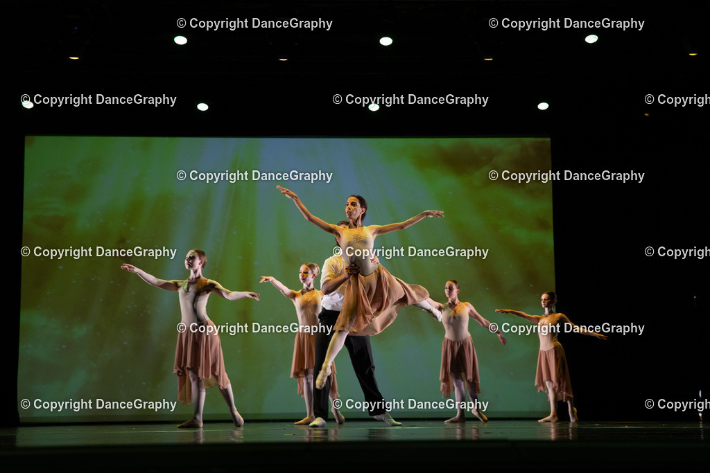 GPHY6308 | DanceGraphy - Realisiert mit Pictrs.com